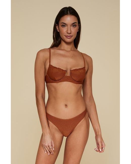 B. Swim Brown Low-Tide Hipster Bikini Swim Bottoms