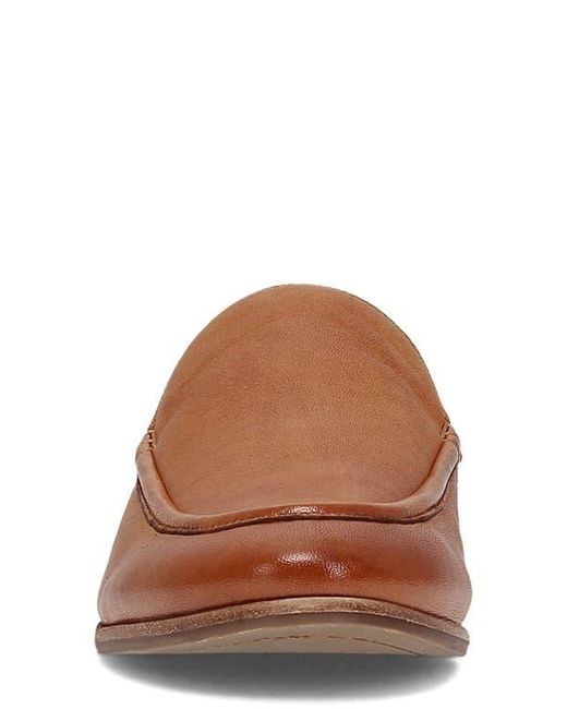 Frye Brown Faith Mule