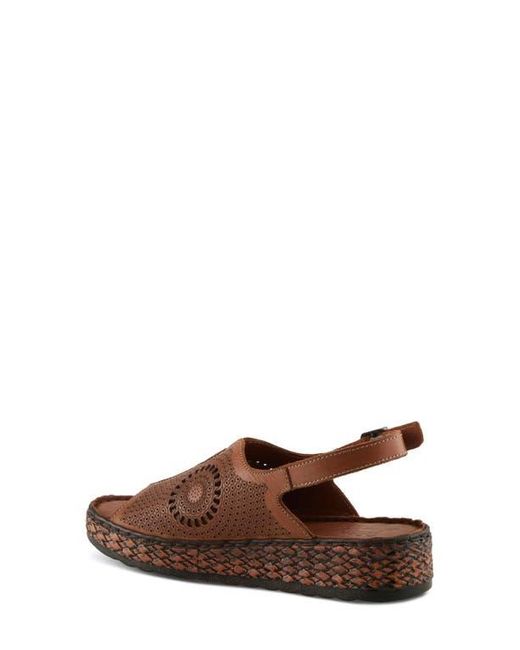 Spring Step Brown Cordero Slingback Sandal