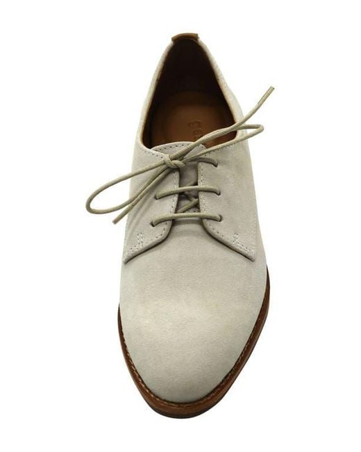 Gentle Souls Multicolor Aronson Derby