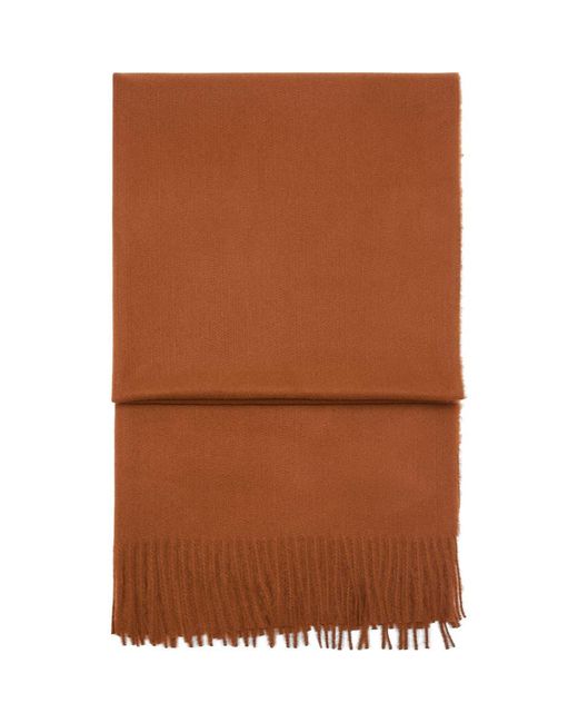 Mango Brown Fringe Scarf
