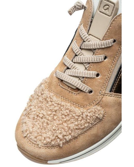 Ara Natural Ovation Sneaker