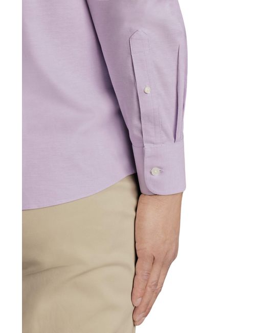 Charles Tyrwhitt Purple Slim Fit Button-down Collar Non-iron Stretch Oxford Shirt for men