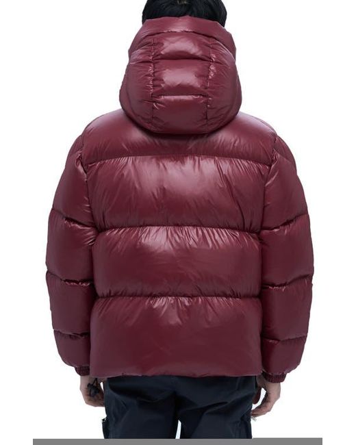 Alpha Style Purple Kudu Hooded Puffer Down Jacket for men