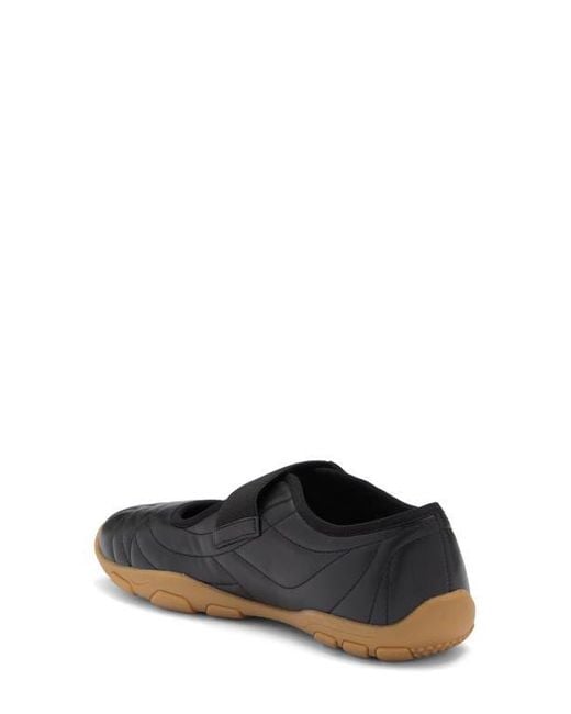 【Steve Madden】スクーター Amazon.com | Steve Madden Women's Scooter Sneaker, Black, 7