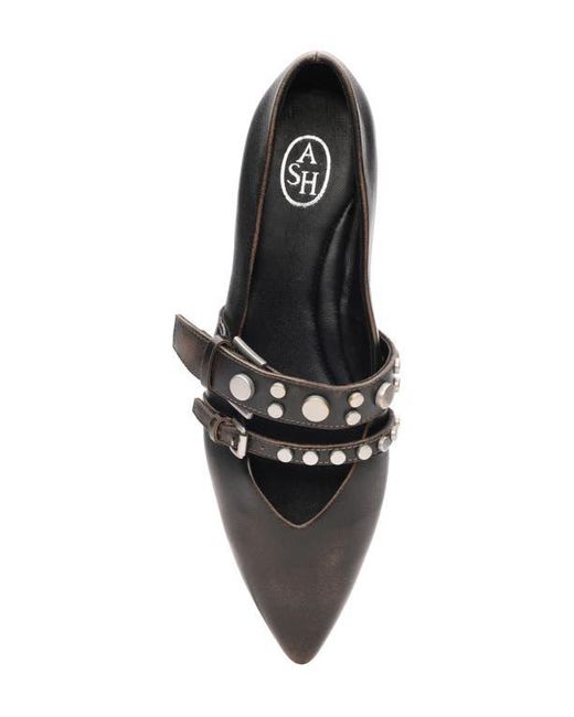 Ash Black Britnie Pointed Toe Flat