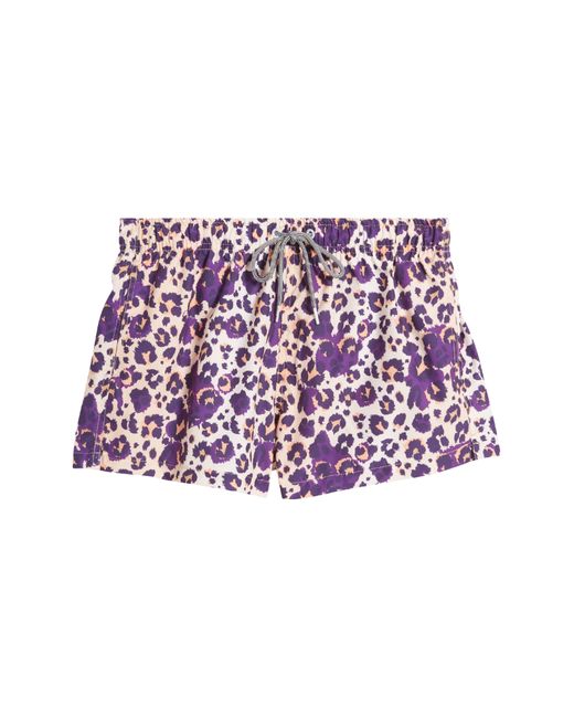 Boardies Purple Cheetah Shortie Swim Trunks for men