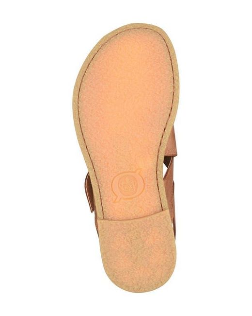 Børn Multicolor Beebe Sandal