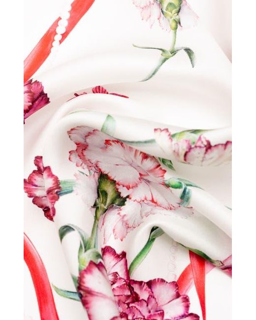 Elizabetta Pink Dianthus