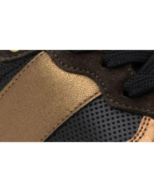 Naot Black Sunset Sneaker