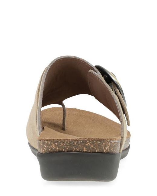Dansko Brown Rylee Sandal