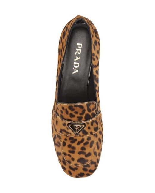 Prada Genuine Calf Hair Loafer Pump in Brown | Lyst