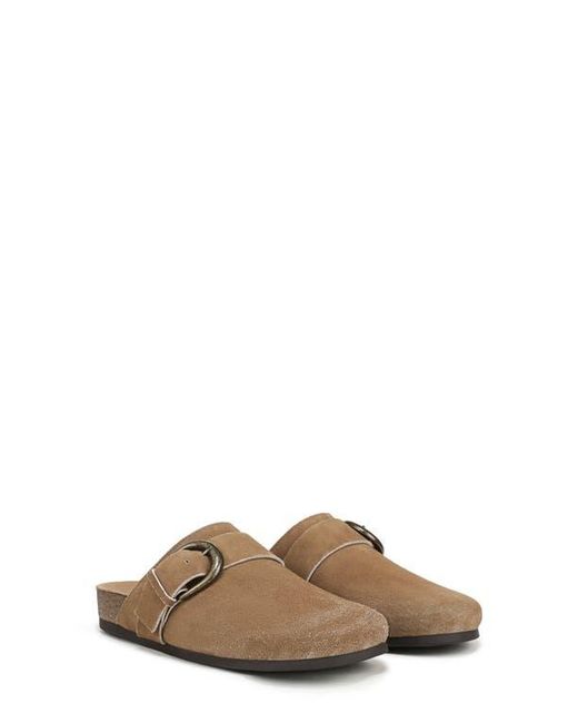 Sam Edelman Brown Alyce Mule