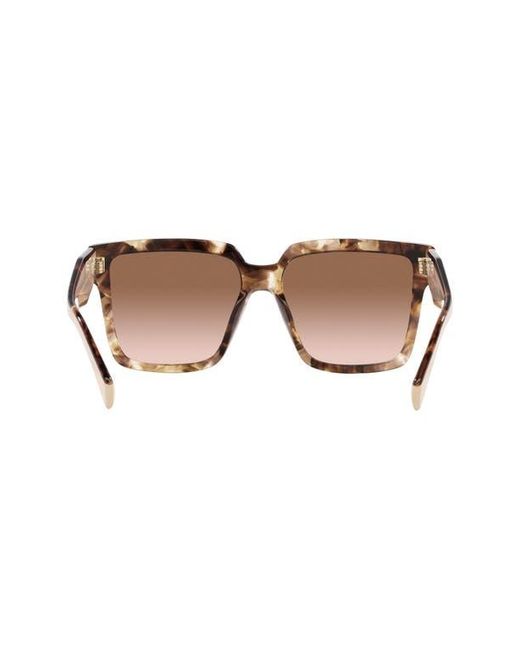 Prada Brown 57Mm Square Sunglasses for men