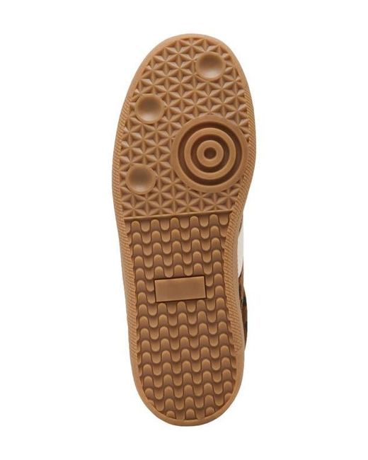 Blondo Brown Remmie Sneaker