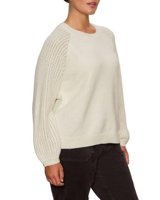 Sanctuary Natural Cozy Moment Pointelle Sleeve Sweater