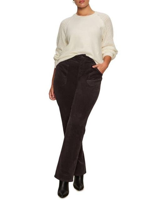 Sanctuary Natural Cozy Moment Pointelle Sleeve Sweater