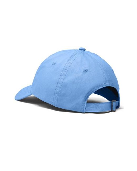 Alix Blue Capybara Donut Embroidered Cap for men