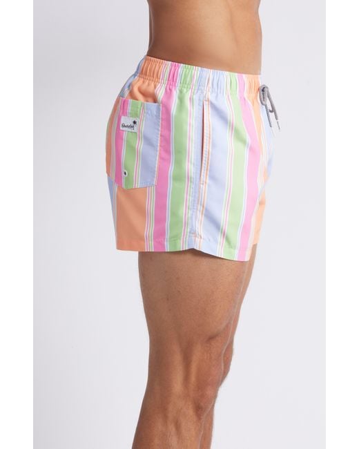 Boardies Pink Citrus Stripe Shortie Swim Trunks for men