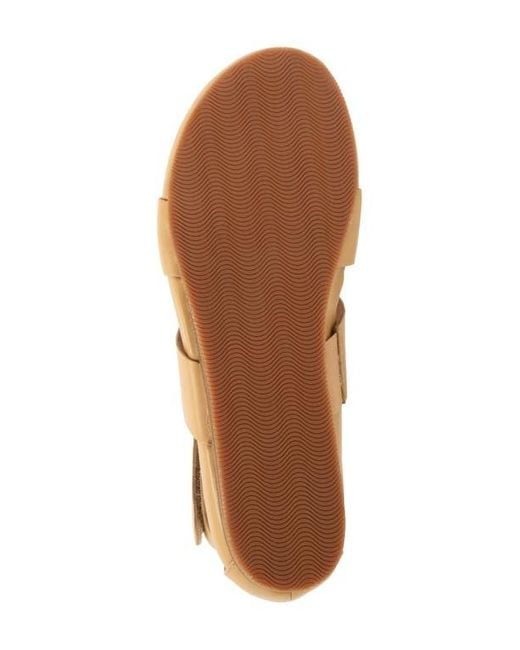 Softwalk® Brown Cabo Gladiator Sandal