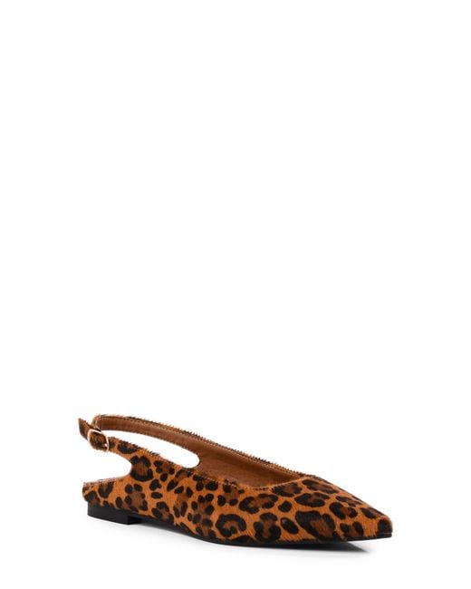 Seychelles Brown Alameda Pointed Toe Slingback Flat