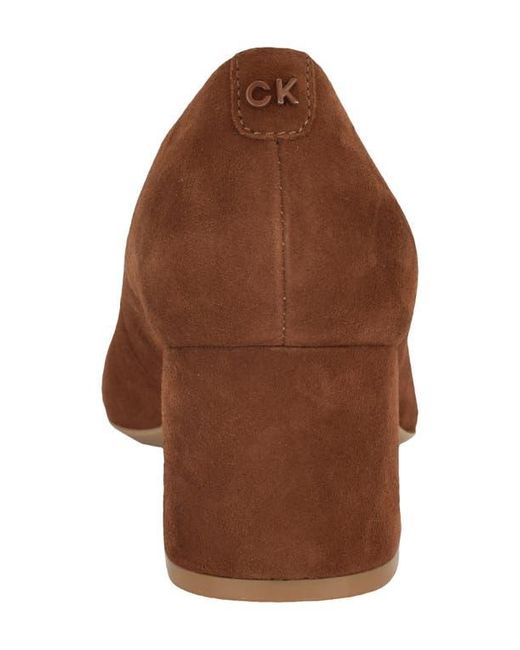 Calvin Klein Brown Lenott Pointed Toe Pump