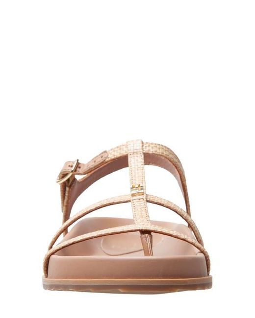 Linea Paolo Pink Lilith Ankle Strap Sandal