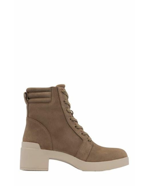 ABEO Brown Capital Lace Boot