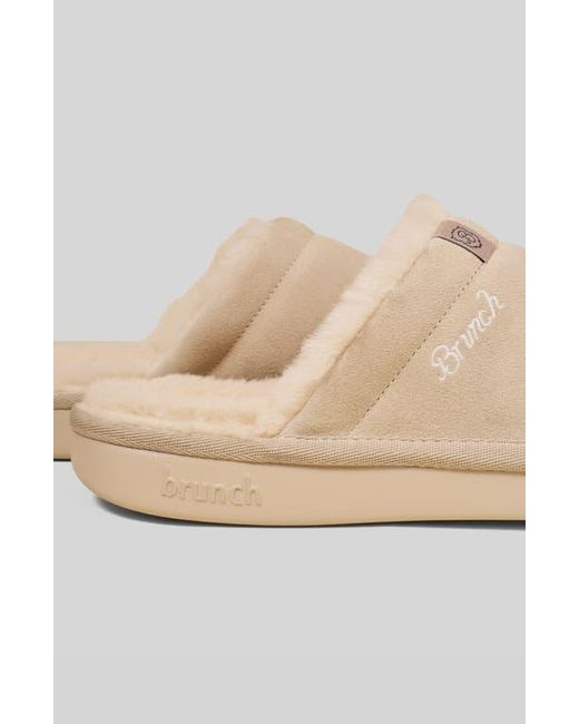 Brunch Natural Gender Inclusive Essential Genuine Shearling Slipper for men