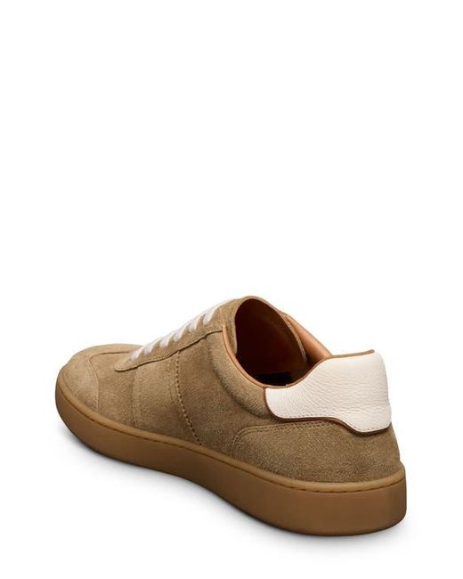 Allen Edmonds Brown Ludlow Slip-On Sneaker for men