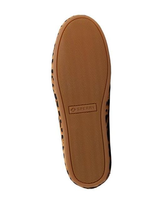 Sperry Top-Sider Brown Slim Boat Shoe