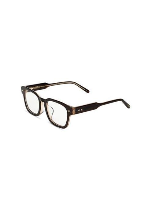 COVRY Brown Aster Light Blocking Glasses