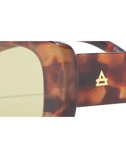 Aire Brown Ceres 51Mm Rectangular Sunglasses