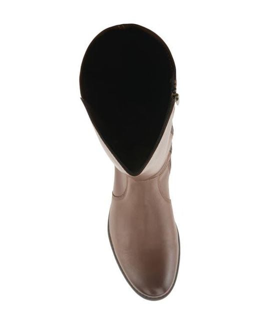 Spring Step Brown Zaya Knee High Boot
