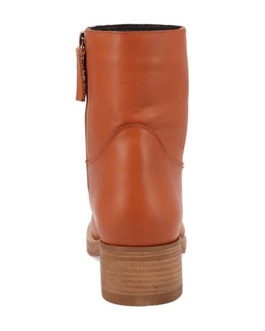 Dingo Brown Banner Western Boot for men