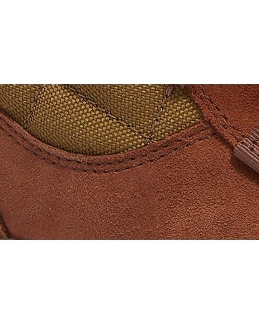Timberland Brown Ledge Waterproof Snow Boot