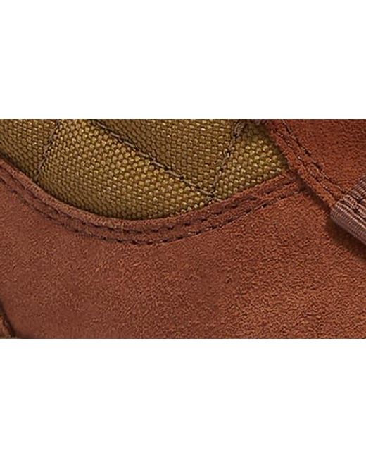 Timberland Brown Ledge Waterproof Snow Boot