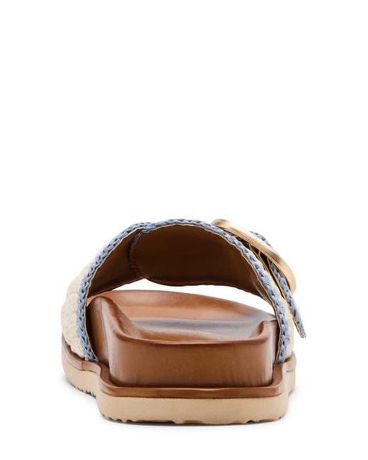 Steve Madden Brown Memphis Slide Sandal