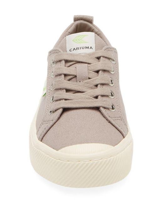CARIUMA Gray Oca Low Cap Tie Sneaker