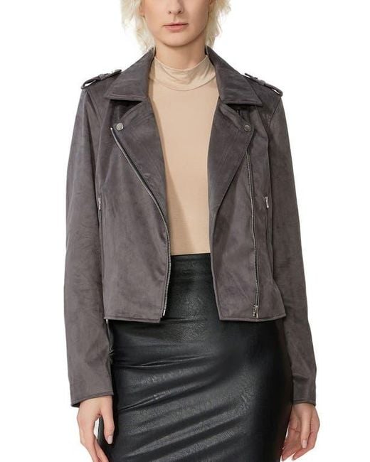 Kimi + Kai Gray Willa Faux Suede Moto Jacket