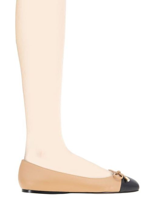 BCBGMAXAZRIA Multicolor Hartly Cap Toe Ballet Flat