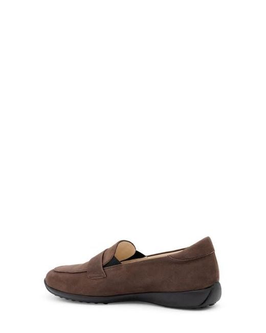 Amalfi by Rangoni Brown Jill Loafer