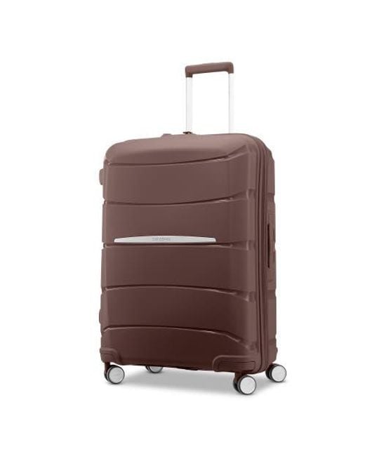 Samsonite Brown Outline Pro Medium Spinner