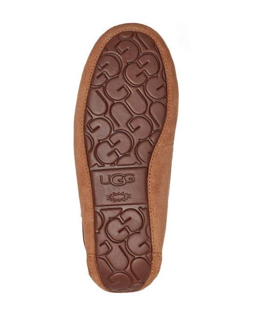 Ugg Brown Dakota Slipper