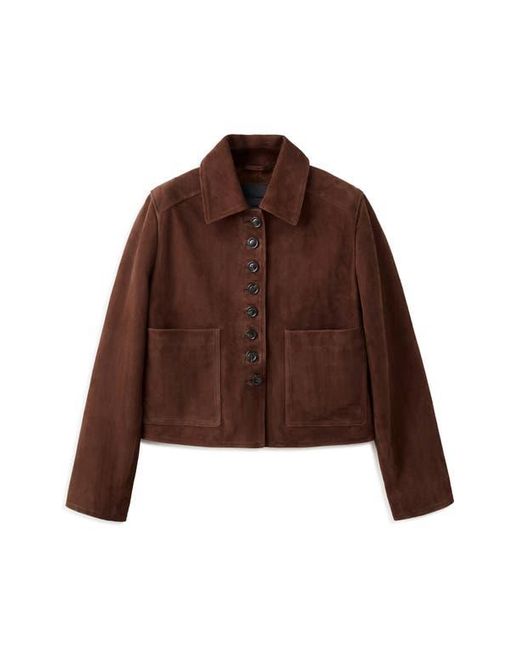 Mango Brown Suede Button Front Crop Jacket