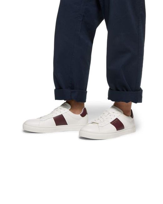 Ted Baker White Bradley Sneaker for men