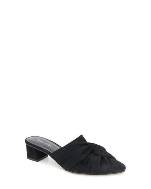 Splendid Black Lanis Block Heel Mule