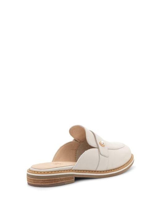 Ara White Kona Mule