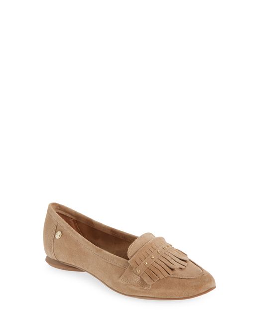 BOTTER Brown Botjoya Pointed Toe Flat