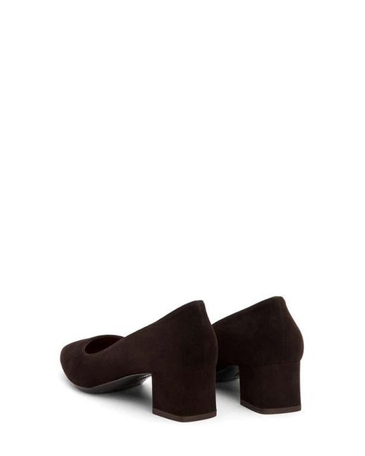 Aquatalia Brown Pasha Pointed Toe Pump